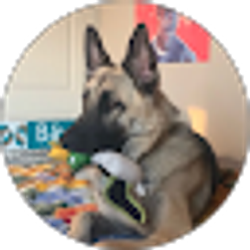 Profile photo of Brandon Somchana