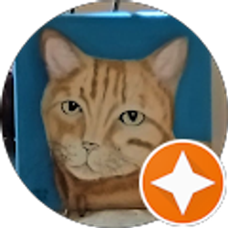 Profile photo of M J