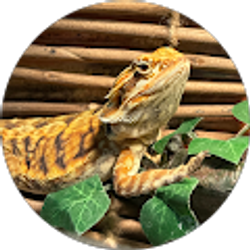 Profile photo of Kimberly Brown