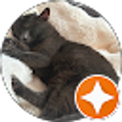 Profile photo of Follower of Christ