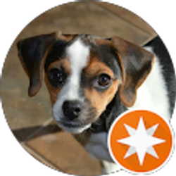 Profile photo of Robert Sedor Jr