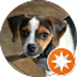 Profile photo of Robert Sedor Jr