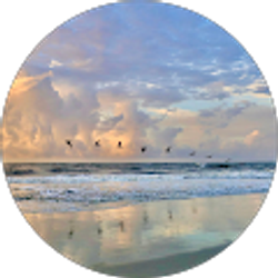 Profile photo of Carrie Swinehart