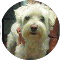 Profile photo of Karen Polick