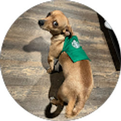 Profile photo of Eli Gonzalez