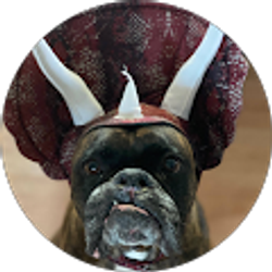 Profile photo of Kellie O'neill