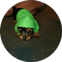 Profile photo of Christopher Ledet`