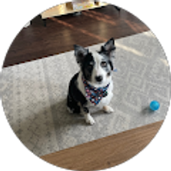 Profile photo of Painter Sharpless