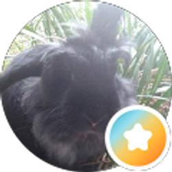 Profile photo of Yabbo !