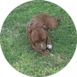 Profile photo of Dana Bell