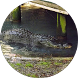 Profile photo of Andrew Dunning