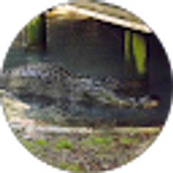 Profile photo of Andrew Dunning