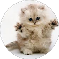 Profile photo of Maria Litchfield