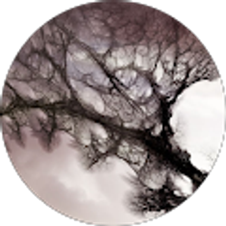 Profile photo of shay freeman
