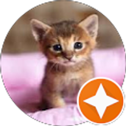 Profile photo of Leonid Kiyanitsa