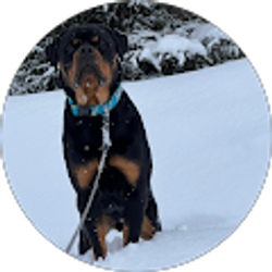 Profile photo of Cheng Saetern