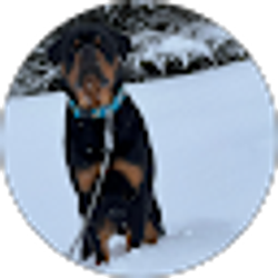 Profile photo of Cheng Saetern