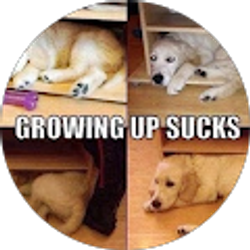 Profile photo of caleb yarbi