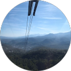 Profile photo of Tyler Lewis