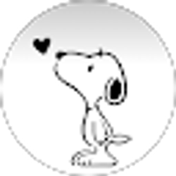Profile photo of T Xaysombath
