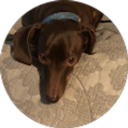 Profile photo of Lynn Harris