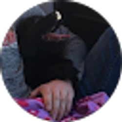 Profile photo of William Votsmier