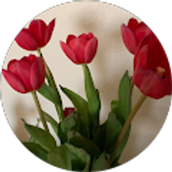 Profile photo of Celeste Cogley