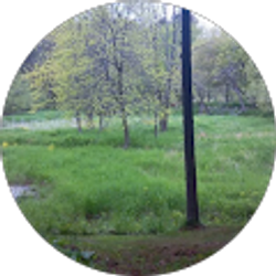 Profile photo of David Bopha