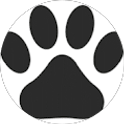 Profile photo of jenny smith