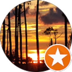 Profile photo of richard abbott