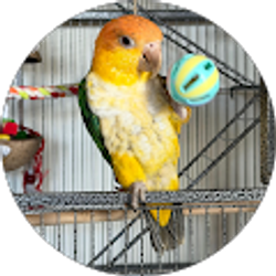 Profile photo of Dani Bustios