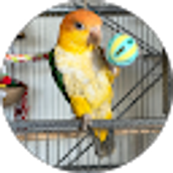 Profile photo of Dani Bustios