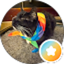 Profile photo of Jasmine S