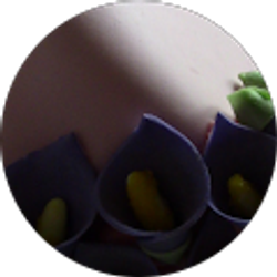 Profile photo of Bobi Beth Kallenbach