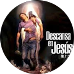 Profile photo of jun perez