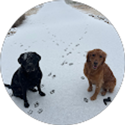 Profile photo of Tyler Evans