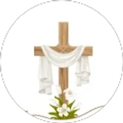 Profile photo of Kelly Daniels