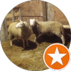 Profile photo of José Guerra Lamas