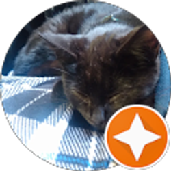 Profile photo of X_Bex _X