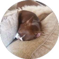 Profile photo of B Ward