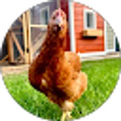 Profile photo of j flaska