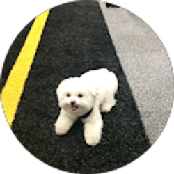 Profile photo of Roy Grinberg