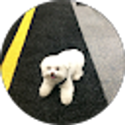 Profile photo of Roy Grinberg