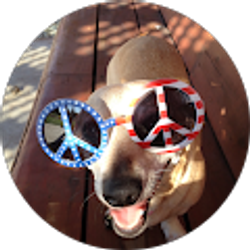 Profile photo of david organ