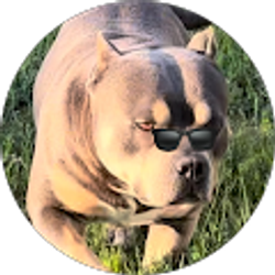 Profile photo of Moises