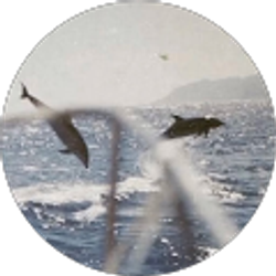 Profile photo of derek barker