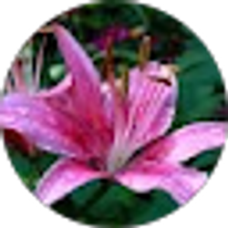 Profile photo of Michelle Marley