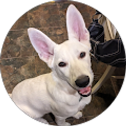 Profile photo of Danielle Mucci