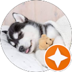 Profile photo of Tammy Bault