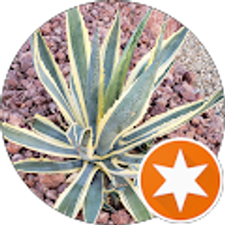 Profile photo of JP M